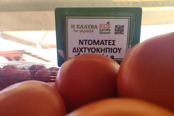Net garden Tomatoes